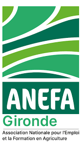 ANEFA