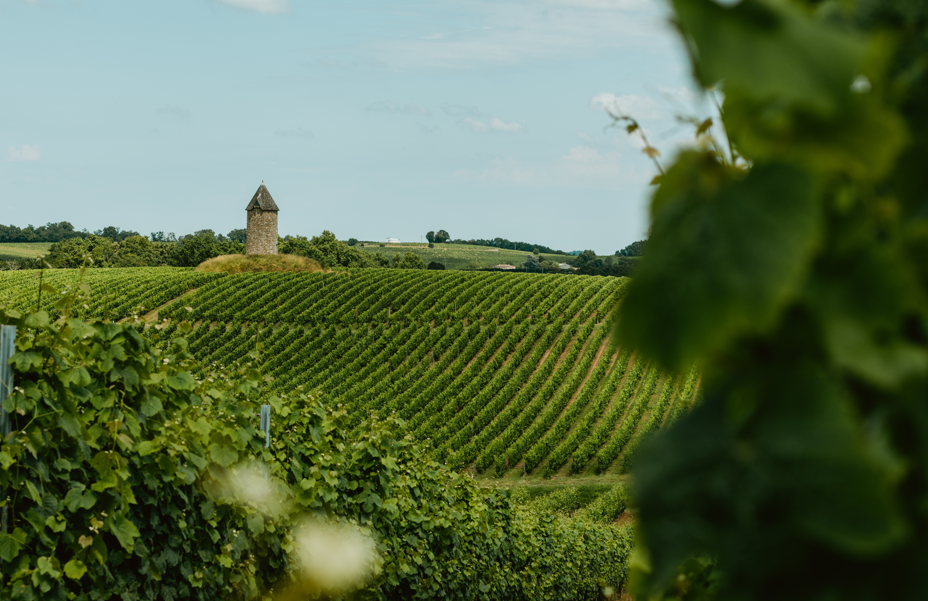 Modernisation des Points d'information touristique du Pays Foyen