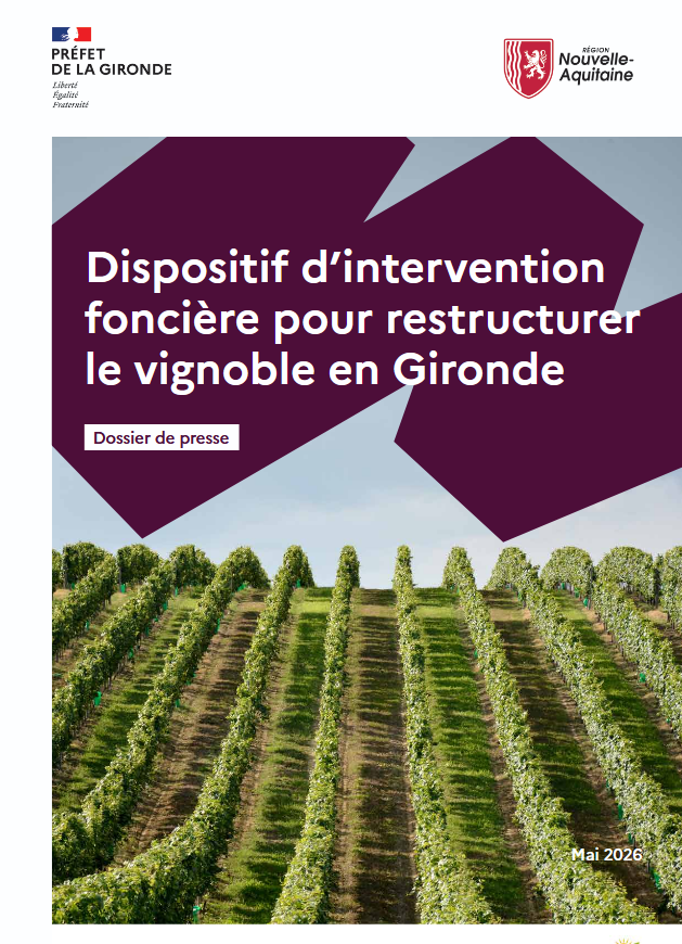 Photo de vignes