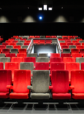 Illustration de Le cinéma La Brèche