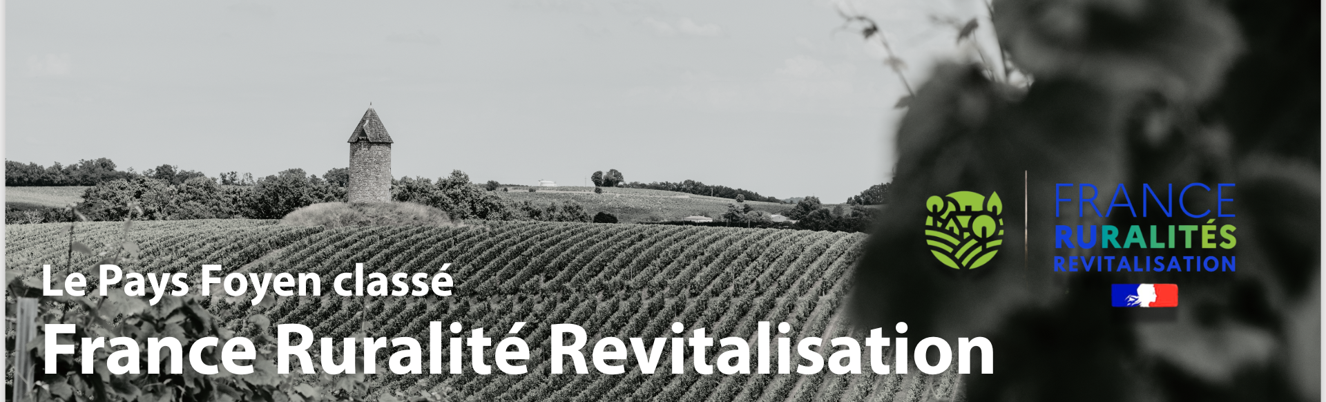 Au premier plan nous voyons des vignes et au lieu un moulin, à qui il manque les ailes. Le logo France Ruralité Revitalisation est insérer dans le ciel. L'image est en noir et blanc. Crédits photos : Cloé Turdot Fuentes - Gironde Tourisme