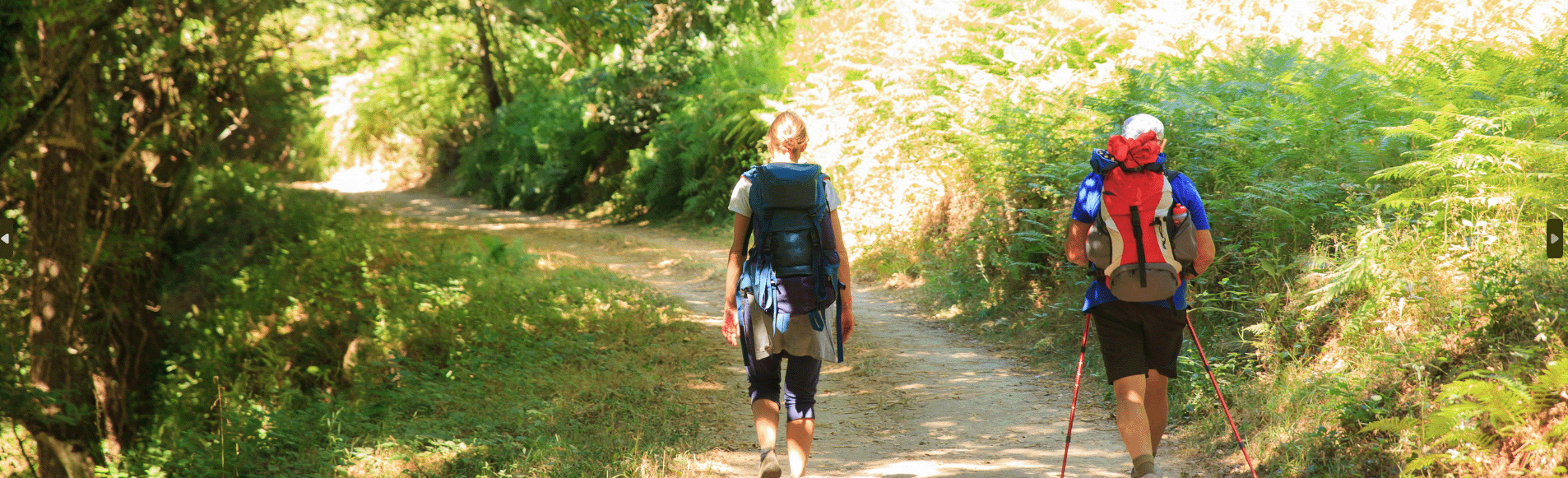 Image de Pellegrue, Nouvelle Commune Halte Saint-Jacques-de-Compostelle