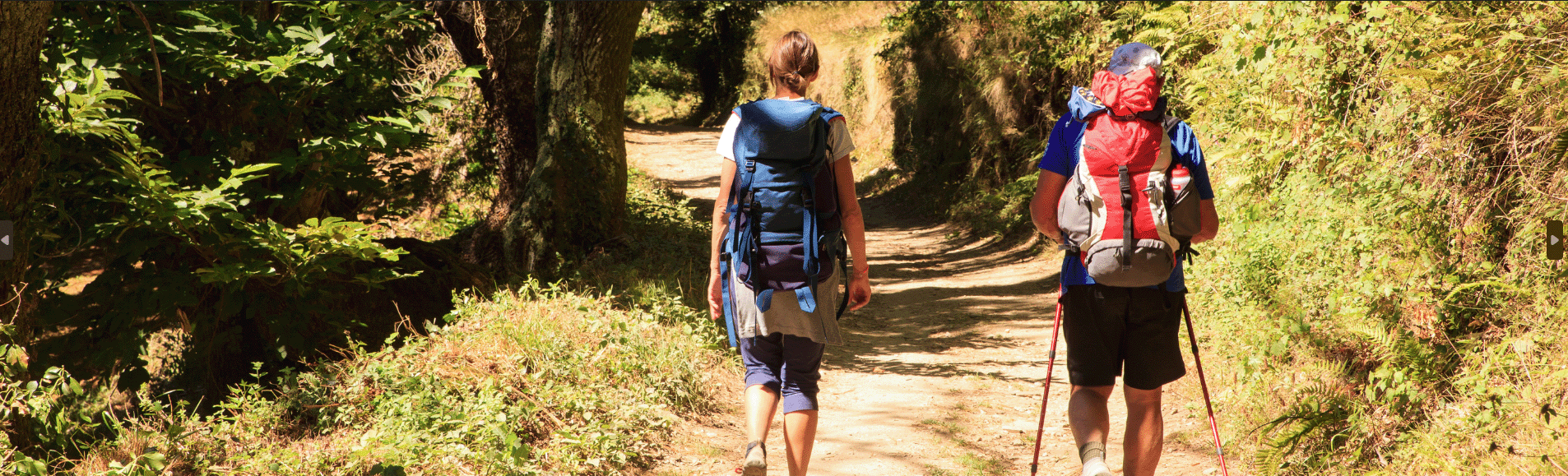 Image de Sainte-Foy-la-Grande officiellement labellisée commune halte chemin de Compostelle en France