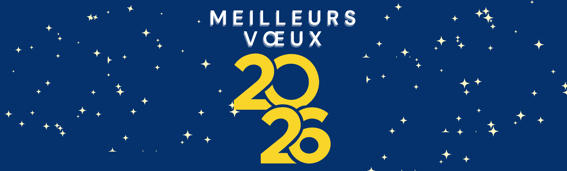 Image de Meilleurs voeux 2026 !